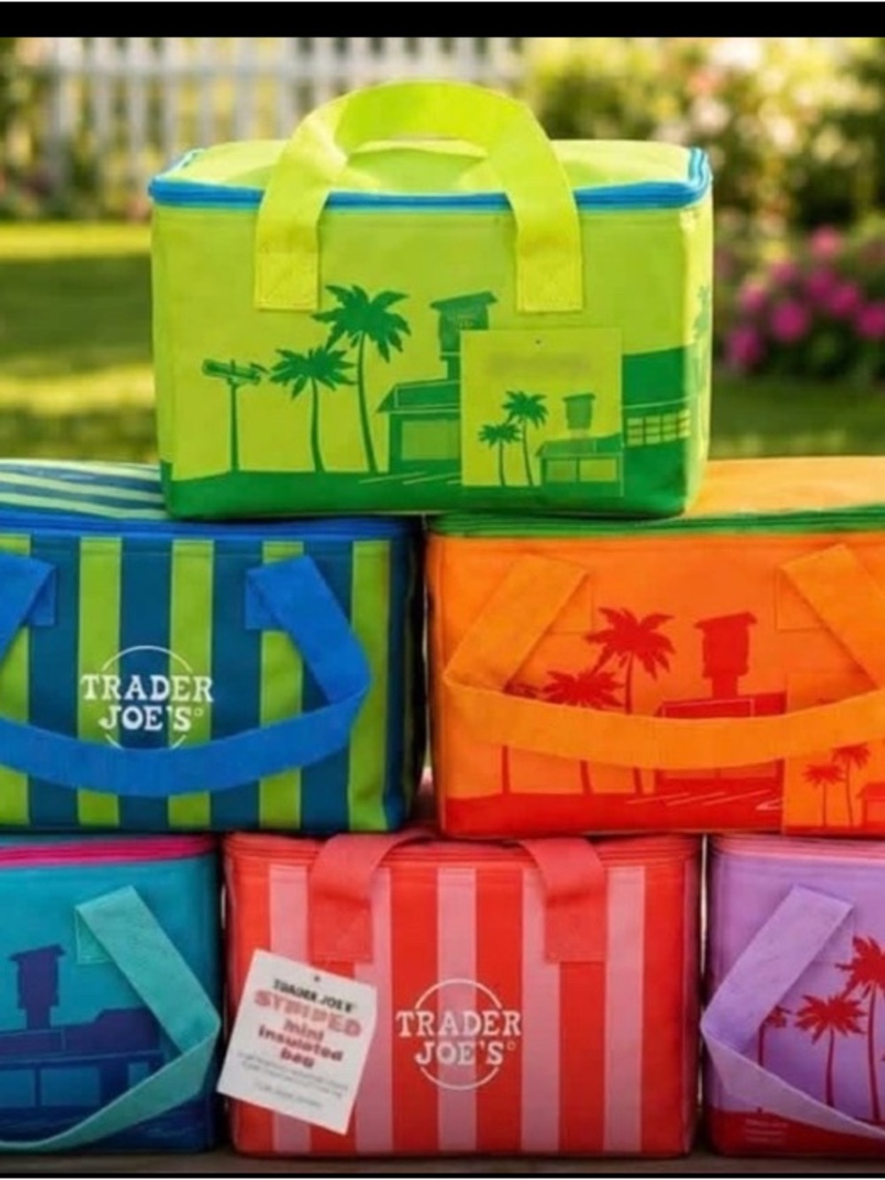 Trader Joe's lunch Insulated Cooler Tote lot of 6
